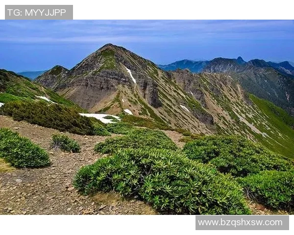 老虎竞技迎战图库曼圣争夺胜利的关键时刻即将来临